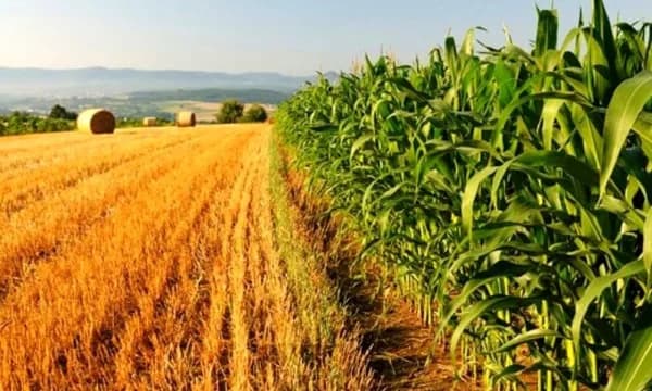 Coldiretti Molise a Bari per la manifestazione a sostegno degli agricoltori