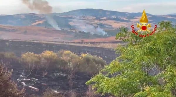 Incendio nelle campagne di Lupara, necessario mezzo aereo Vigili del Fuoco