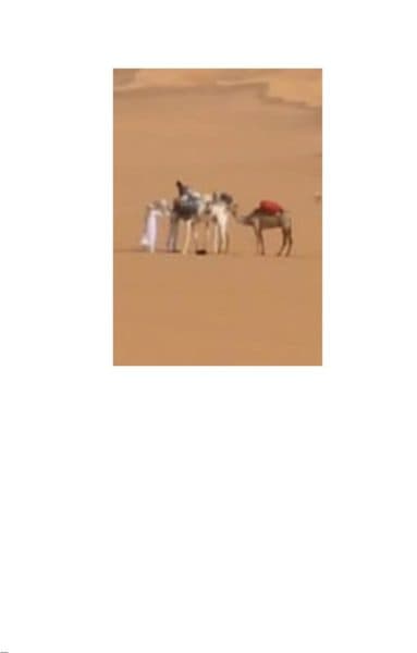 I viaggi di Maurizio Palmieri: l’Egitto e Il Cairo