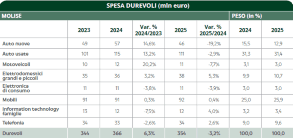 Molise, beni durevoli a 354 milioni: Isernia guida il sud per spesa familiare