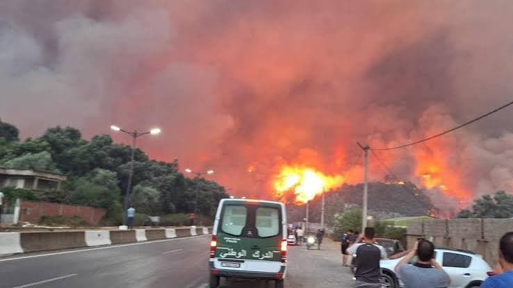 Algeria, incendi boschivi catastrofici: almeno 69 vittime e numerosi feriti